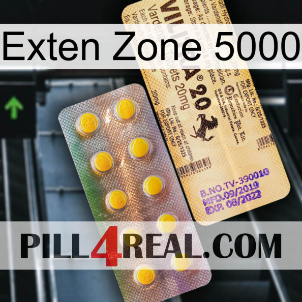 Exten Zone 5000 new06.jpg